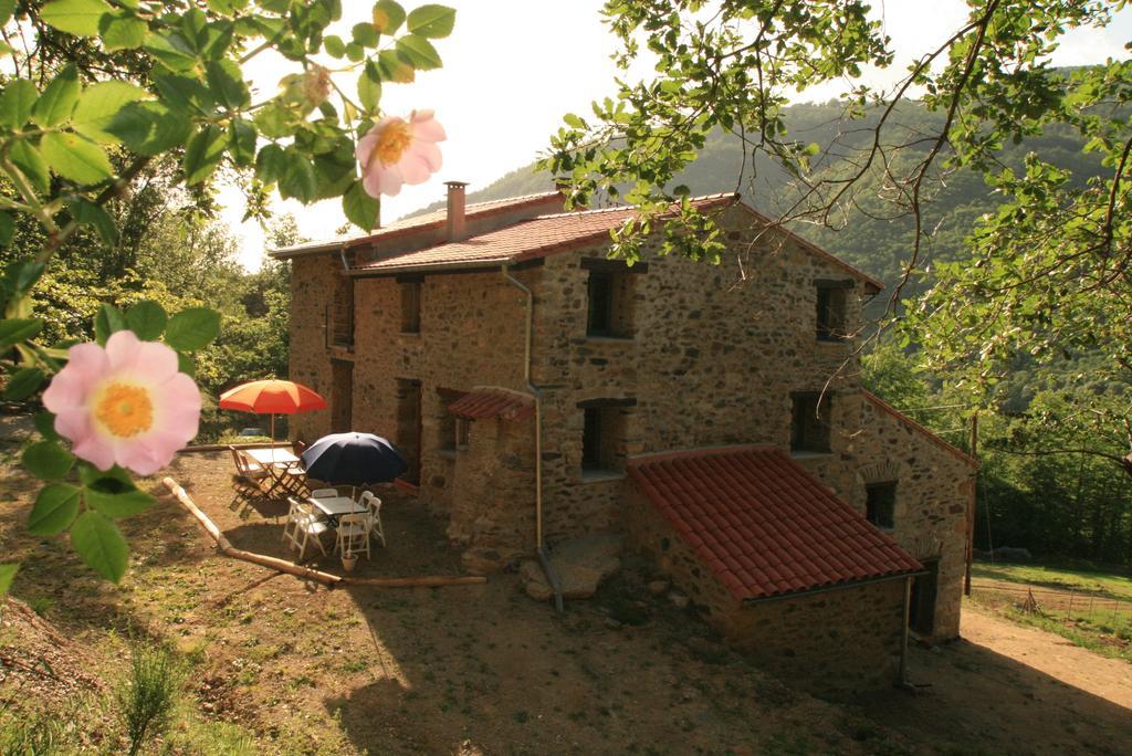 Chambres D'Hotes Mas La Tardosse Prats-de-Mollo-la-Preste Cameră foto
